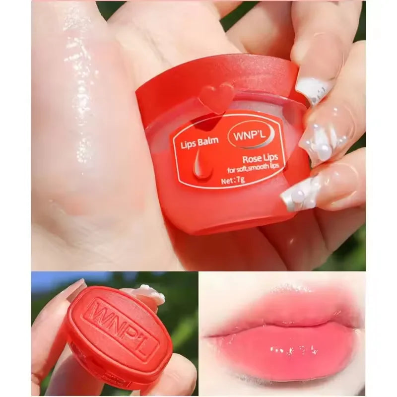 4/6/8pcs Moisturizing Lip Balm Sets Lipstick Makeup Natural Plant Base Moisturizer Lip Balm Anti-Cracking Lips Skin Care